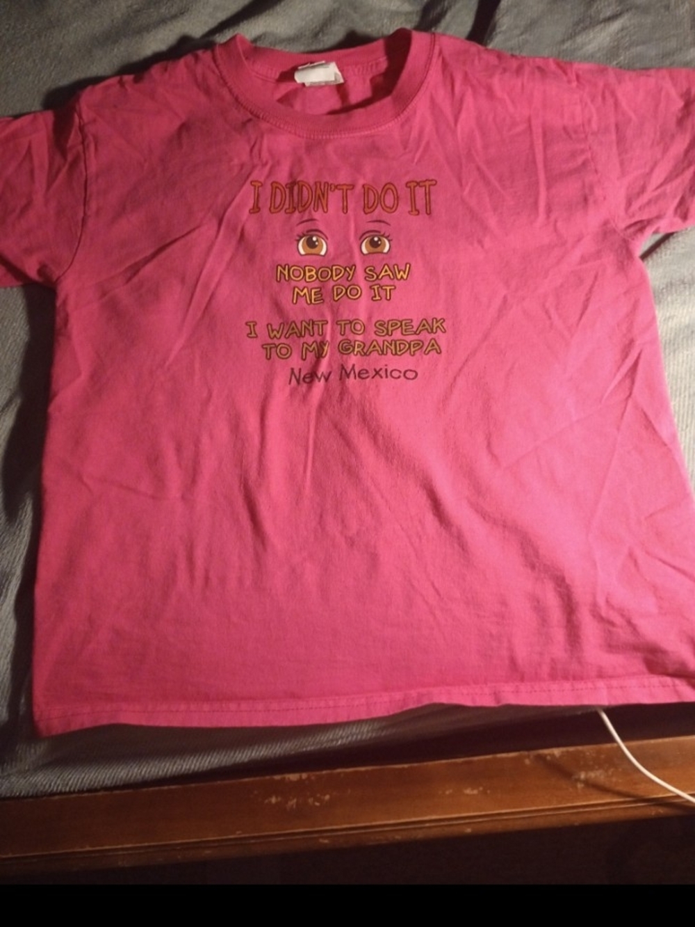 Fruit of the Loom Pink Kids Graphic Tee "I Didn't Do It"